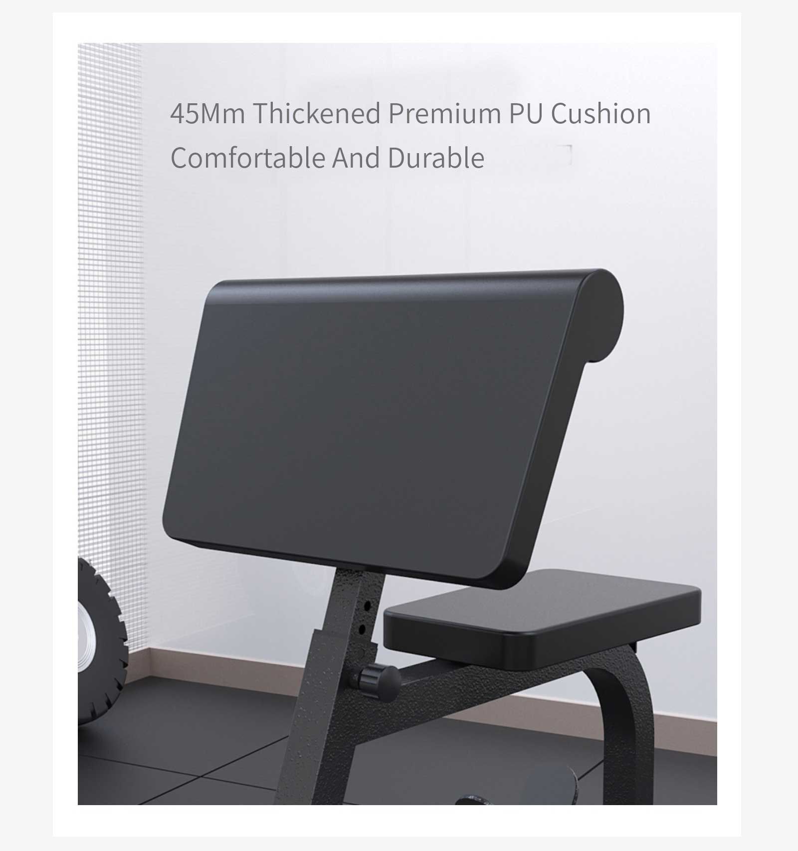 다기능 이두근 훈련 랙 다기능 이두근 훈련 랙