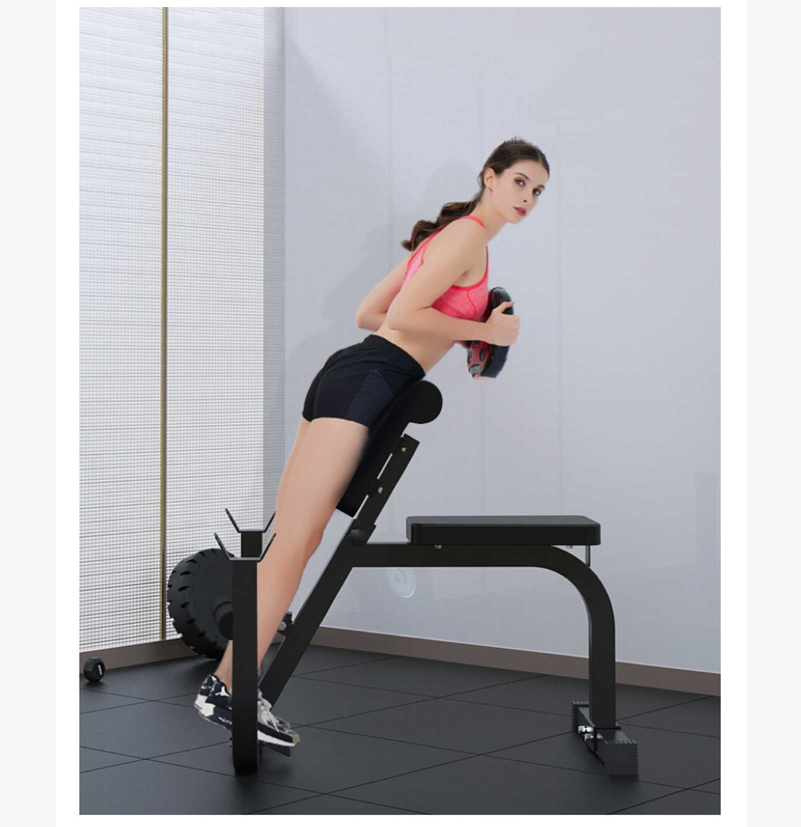 다기능 이두근 훈련 랙 다기능 이두근 훈련 랙