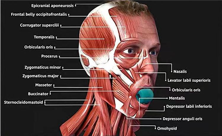 행복 지수 향상-쥬얼 라인 트레이너 제조 업체-와서 우리를 선택하십시오